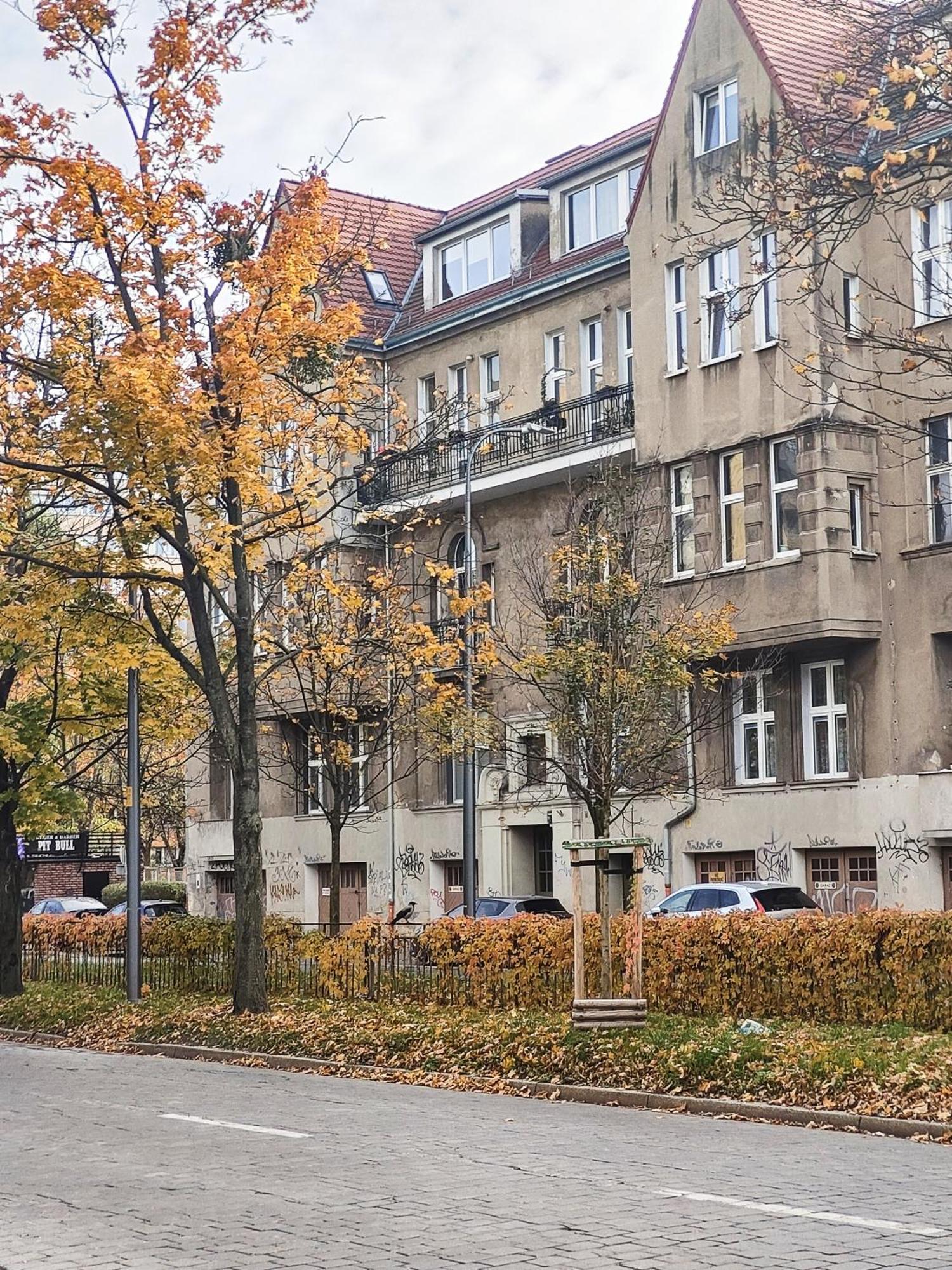 Apartament Stylowa Kamienica Wrocław Zewnętrze zdjęcie